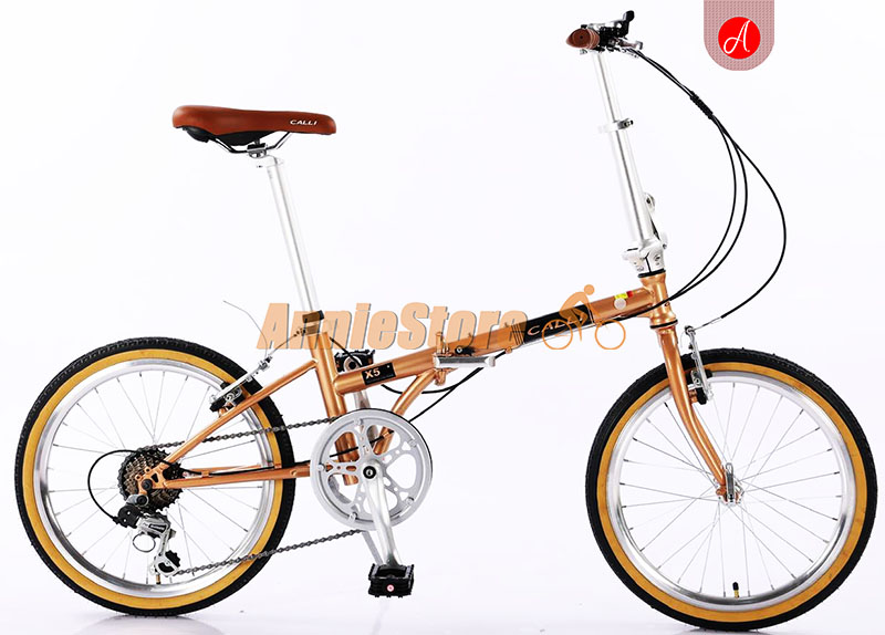 Xe đạp Calli X5 cam