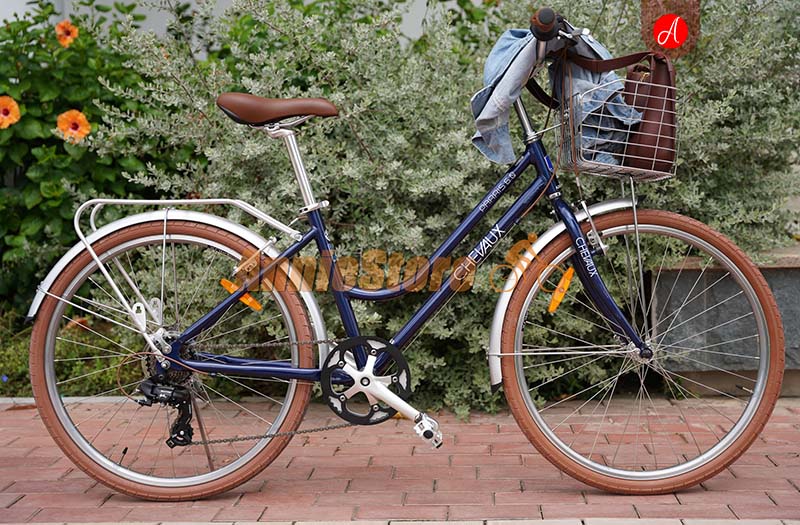 Xe đạp Chevaux Parri 6.0 xanh đậm