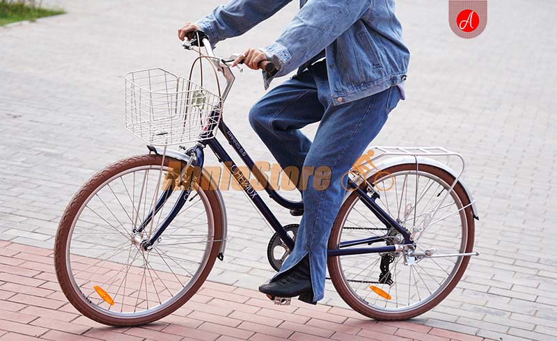 Xe đạp Chevaux Parrs 6.0