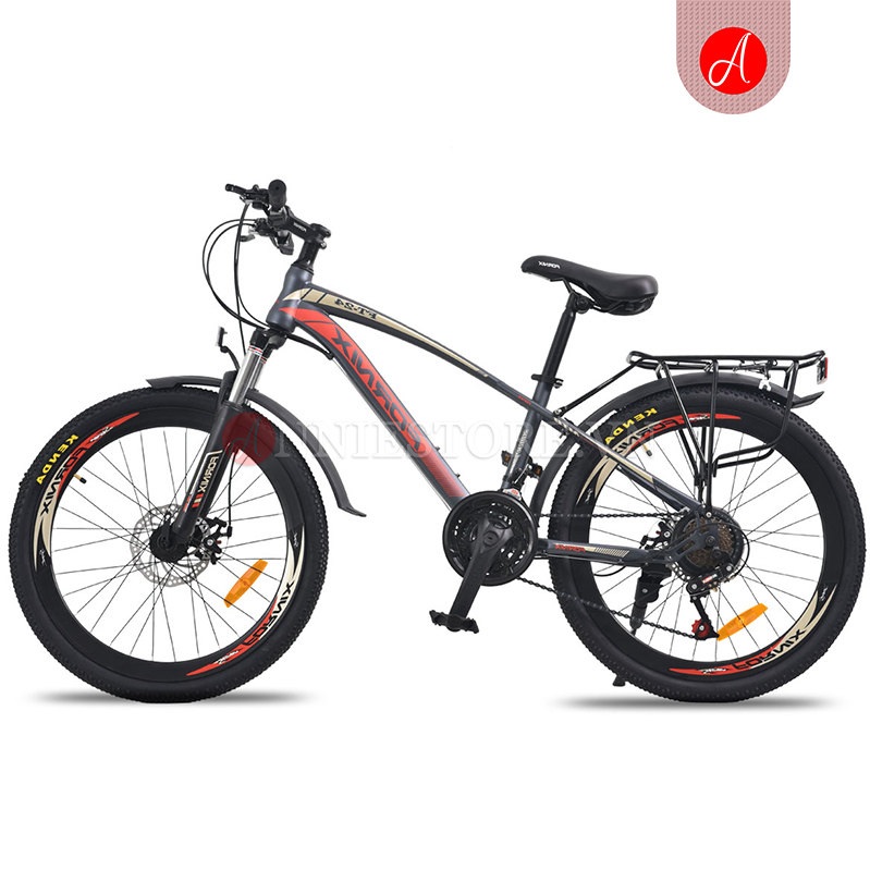 Xe đạp thể thao Fornix FT24 - Xe đạp địa hình giá tốt 