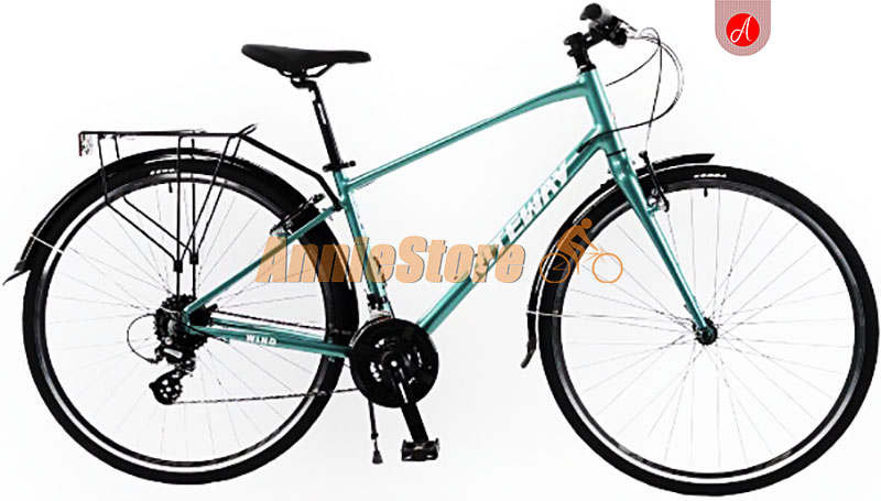 Xe đạp Riteway Wind xanh